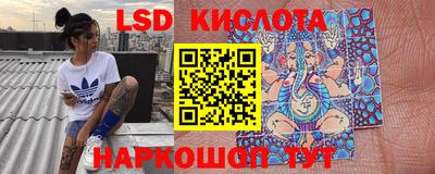 эйфоретик Берёзовский