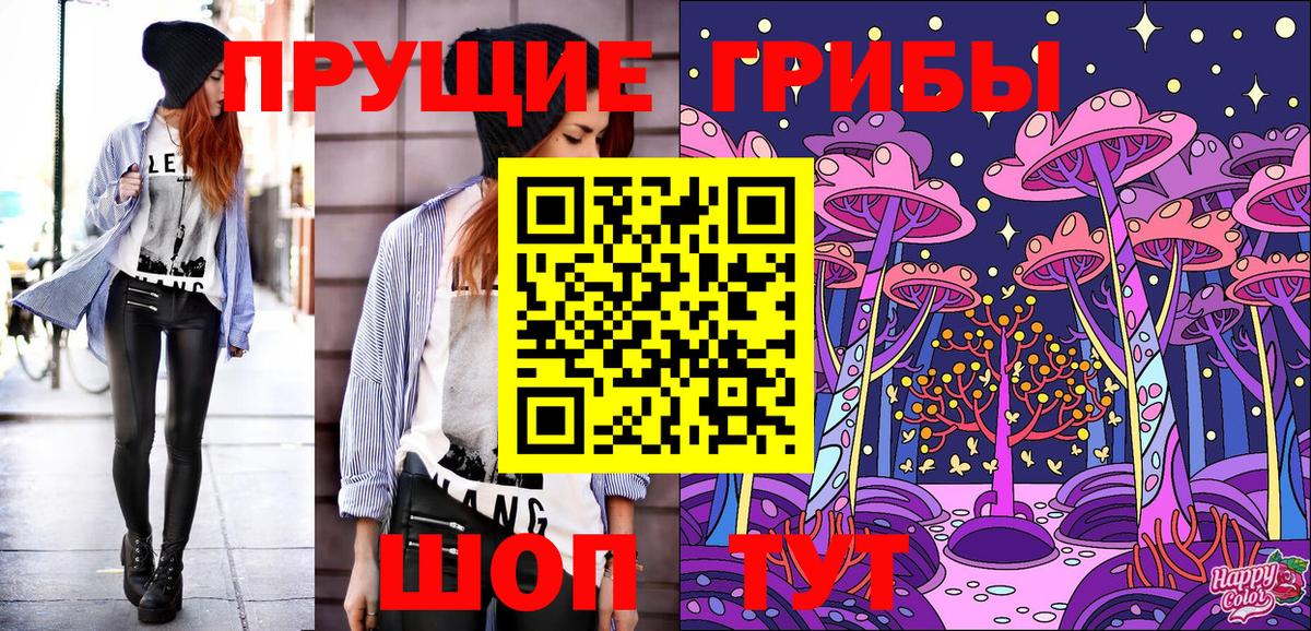 Галлюциногенные грибы Cubensis  Коряжма 